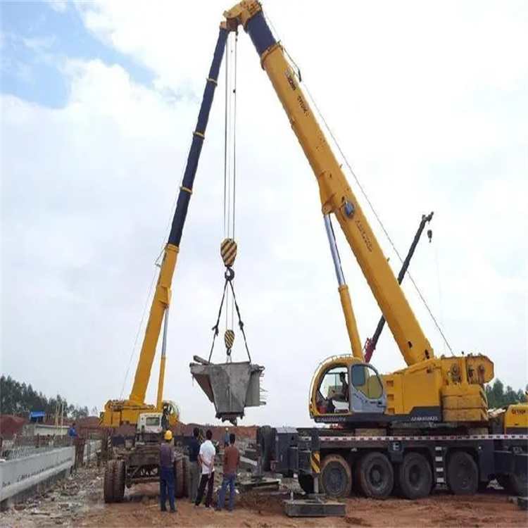 新余小型吊机出租电话|厂房设备吊装方案|24小时服务覆盖